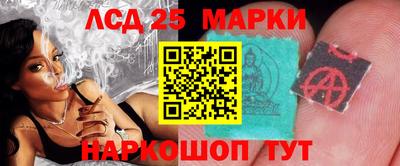 спиды Аргун
