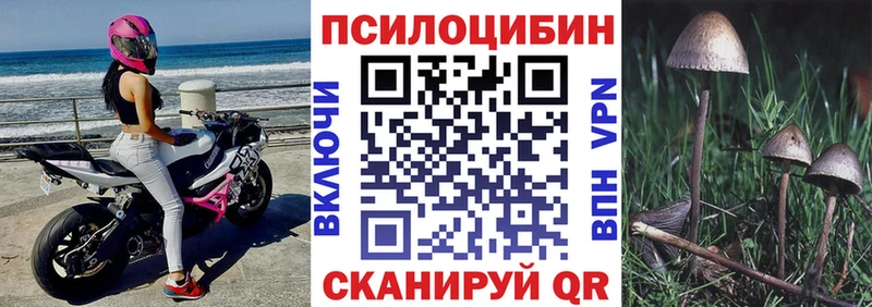 Галлюциногенные грибы Psilocybe  Апрелевка 