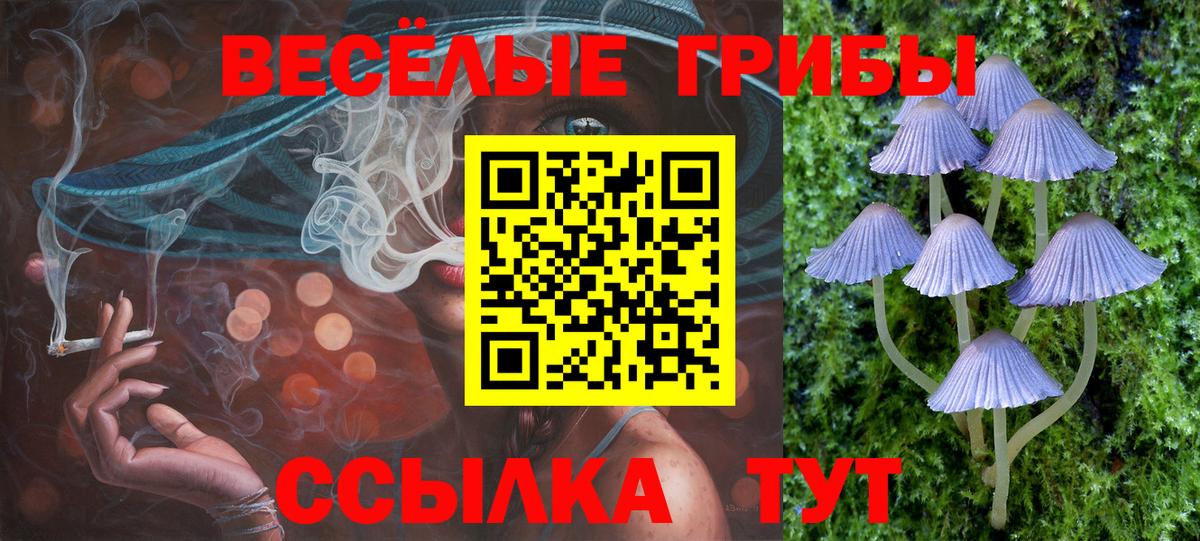 Галлюциногенные грибы мухоморы  Галлюциногенные грибы Magic Shrooms  Вход с VPN  Апрелевка 