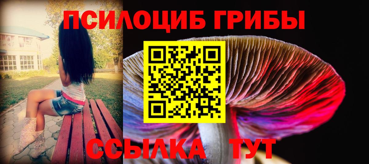 ГАШ Апрелевка