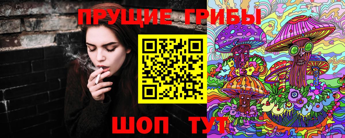 Галлюциногенные грибы Psilocybe Апрелевка