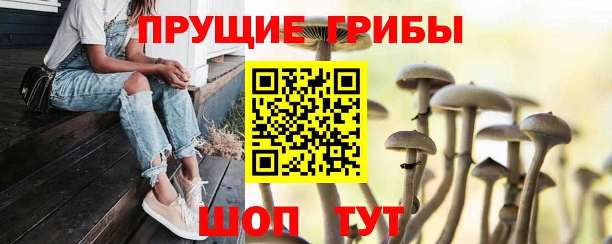 Галлюциногенные грибы Magic Shrooms Апрелевка